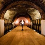 Evora: City Tour - 10h - What Makes This Tour Stand Out