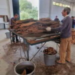 Évora & Wines: A Taste of Authentic Alentejo - The Journey from Lisbon to Évora: What’s in Store?