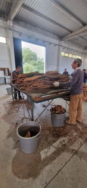 Évora & Wines: A Taste of Authentic Alentejo - The Journey from Lisbon to Évora: What’s in Store?