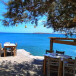 Exclusive Escape to Vai Palm Beach & Eastern Crete's Wonders - What Sets This Tour Apart?