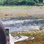 Exclusive Locations Private Bear Viewing - An Authentic Alaska Wildlife Experience