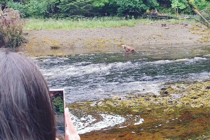 Exclusive Locations Private Bear Viewing - An Authentic Alaska Wildlife Experience