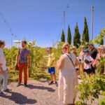 Exclusive Siena and San Gimignano Tour & Chianti Wine Experience - Transportation and Group Size