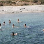 Excursion to Asinara Stintino La Pelosa National Park - Leisure, Snorkeling, and Land Visits