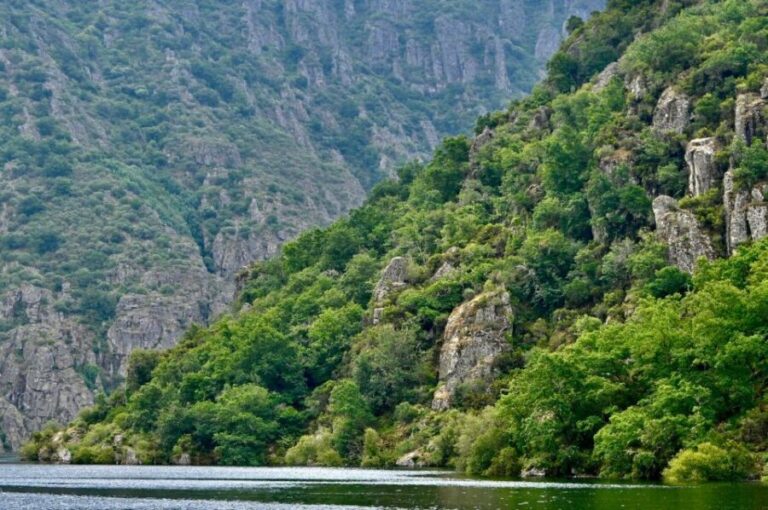 Excursion to Ribeira Sacra and Ourense - Transportation & Group Size