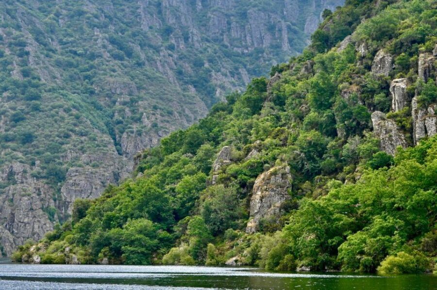 Excursion to Ribeira Sacra and Ourense - Transportation & Group Size