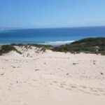 Excursion to Tarifa, Baelo Claudia, Bolonia, and Vejer de la Frontera with a tour guide - Final Thoughts