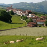 Excursion to the Baztan Valley, Zugarramurdi, and Señorío de Bertiz - An In-Depth Look at the Tour Experience