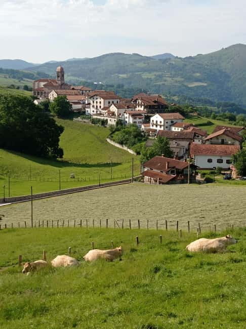 Excursion to the Baztan Valley, Zugarramurdi, and Señorío de Bertiz - An In-Depth Look at the Tour Experience