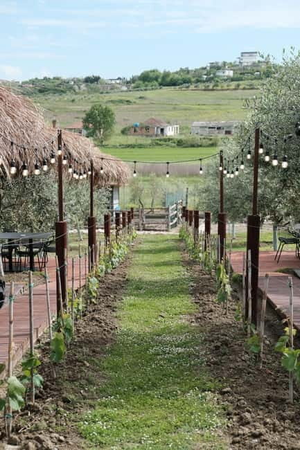 Experience Albanian Wine, daily tours from Durres - What Makes This Tour Stand Out?