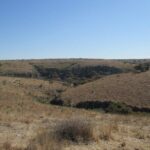 Experience an Archeological Tour in Cañada de la Virgen - Why This Tour Offers Genuine Value