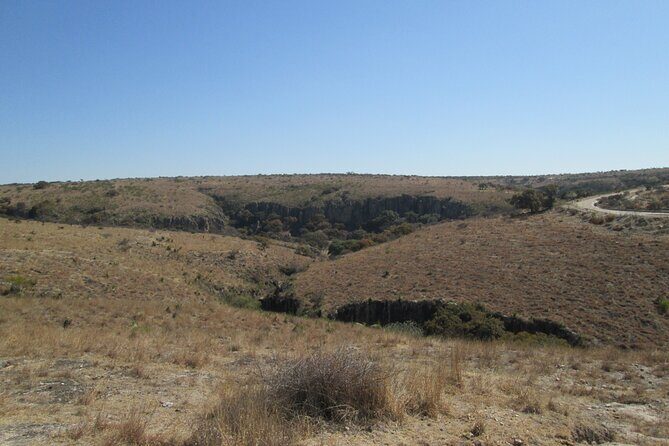 Experience an Archeological Tour in Cañada de la Virgen - Why This Tour Offers Genuine Value