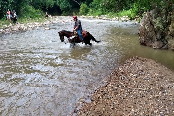 Experience ATV and Horse Back Riding - Practical Details and Tips