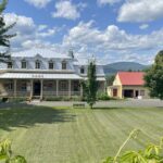 Experience île d'Orléans and the falls with a local guide - Who Is This Tour Best For?