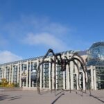 Experience Ottawa Small Group Walking Tour - Price and Value Analysis