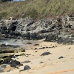 Experience the soul of Maui: Tours led by Maui's own! - The Itinerary Breakdown