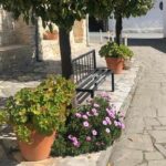 Experience Troodos Gems Shared Tour - Authenticity and Reviewer Insights