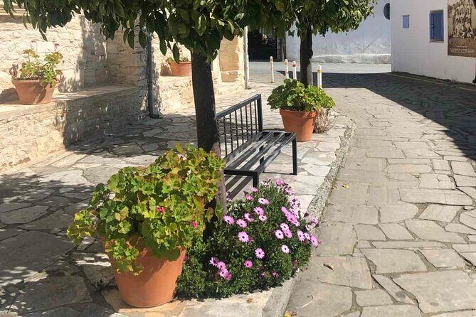 Experience Troodos Gems Shared Tour - Authenticity and Reviewer Insights