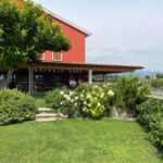 Experience Valpolicella: visit and tasting near Verona - An Introduction to the Experience