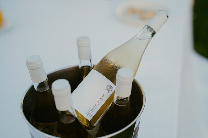 Experience Wine Break in Portugal - A Closer Look at the Tasting