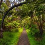 Expert Led Private Guided Tour Hawaii Volcanoes National Park - A Deep Dive Into the Hawaii Volcanoes National Park Guided Tour