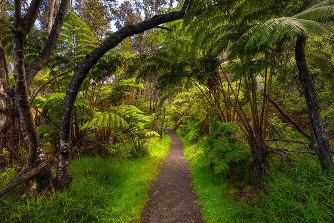 Expert Led Private Guided Tour Hawaii Volcanoes National Park - A Deep Dive Into the Hawaii Volcanoes National Park Guided Tour