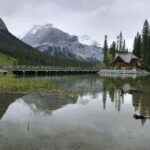 Explore 9 Iconic Banff Spots in 1 Epic Day!(Pax 12/Group) - The Value of the Experience