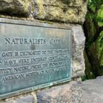 Explore Central Park and Run Along the Marathon Path - Who Should Consider This Tour?