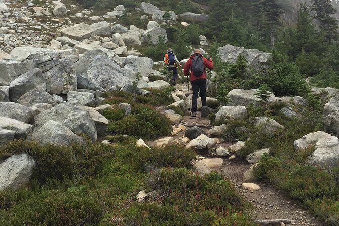 Explore Coastal Mountain Treasures: Scenic Hike from Squamish, BC - Who is this tour perfect for?