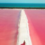 Explore Las Coloradas & Rio Lagartos from Riviera Maya - Detailed Review of the Tour Experience