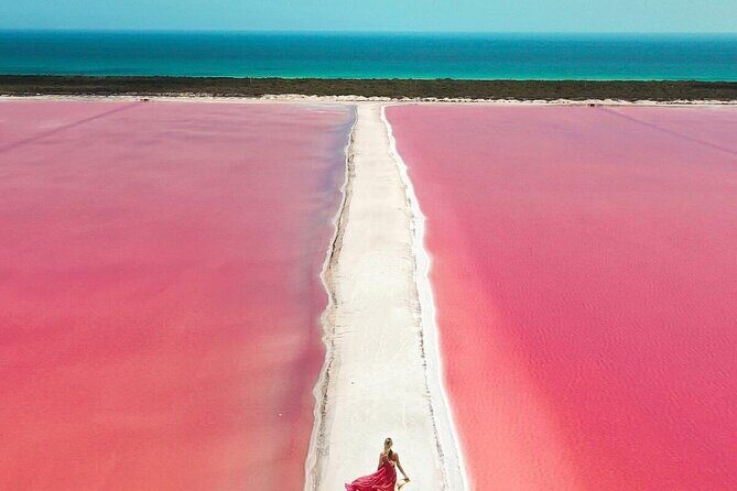 Explore Las Coloradas & Rio Lagartos from Riviera Maya - Detailed Review of the Tour Experience  