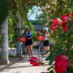 Explore Lyon and famous Tête d'Or Park by electric bike - The Itinerary: A Closer Look at What You’ll See