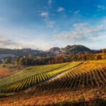 Explore & Savor: Dynamic Wine Tasting at Cantina Moscone - A Deep Dive into the Cantina Moscone Experience