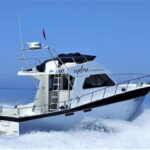 Explore Sesimbra: Private Sport Fishing All Inclusive Tour - An In-Depth Look at the Tour Experience