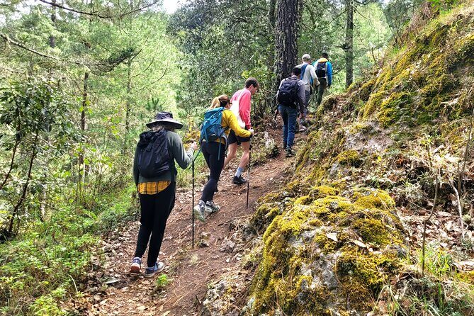 Explore Sierra Norte, Half-Day Hiking Adventure - Authentic Experiences and Review Insights