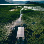 Explore Skadar Lake: Exclusive Guided Boat Falcon Tour! - What’s Included and What to Consider