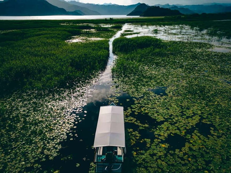 Explore Skadar Lake: Exclusive Guided Boat Falcon Tour! - What’s Included and What to Consider