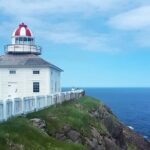 Explore St. John's Scenic Bus Tour to Cape Spear and Quidi Vidi - Authentic Experiences and Highlights from Reviews