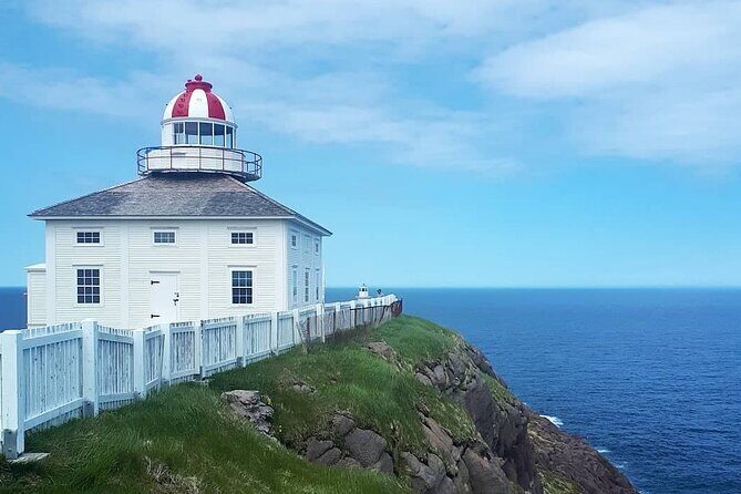 Explore St. John's Scenic Bus Tour to Cape Spear and Quidi Vidi - Authentic Experiences and Highlights from Reviews