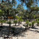 Explore the Ancient Wonders: Mayan Ruins 'El Meco' in Cancun - Transportation and Comfort