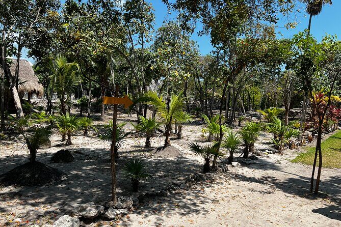 Explore the Ancient Wonders: Mayan Ruins 'El Meco' in Cancun - Transportation and Comfort