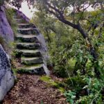 Explore the Murgia Materana UNESCO Park (Italiano & Espanol) - An In-Depth Look at the Murgia Materana UNESCO Park Tour