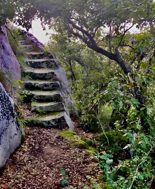 Explore the Murgia Materana UNESCO Park (Italiano & Espanol) - An In-Depth Look at the Murgia Materana UNESCO Park Tour