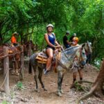 Express zips + Longest suspension bridge, ideal cruisers - The Sum Up: Who Will Love This Tour?