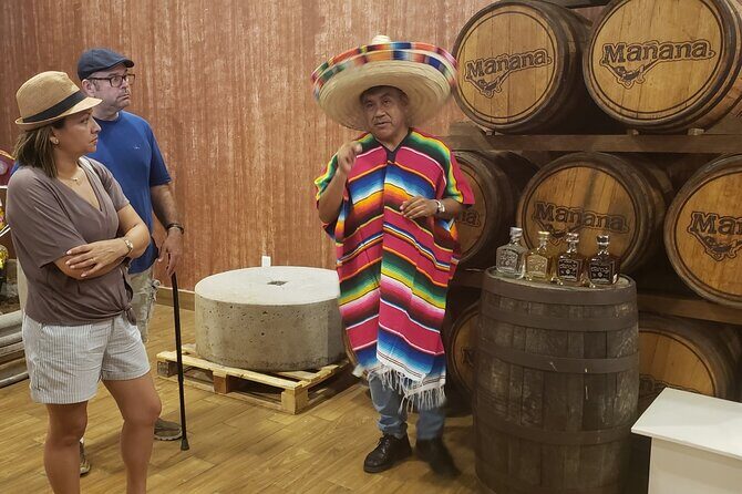 Extraordinary Cancun Van City Tour - Included Transportation - What’s Included and What’s Not