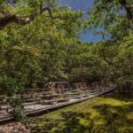 Extrem Day at Xplor Park with Zip-lines, 4x4 Vehicles Transportation from Cancun - Who Will Enjoy This Tour?