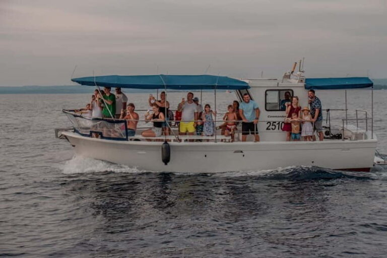 Faana: Dolphin & Sunset - The Experience Breakdown