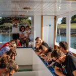 Faana: Glass Boat Tour of Brijuni National Park - What to Expect on the Tour