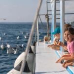 FAANA: PANORAMA NP BRIJUNI AND ISLAND SWIMMING STOP - Overview of the Tour