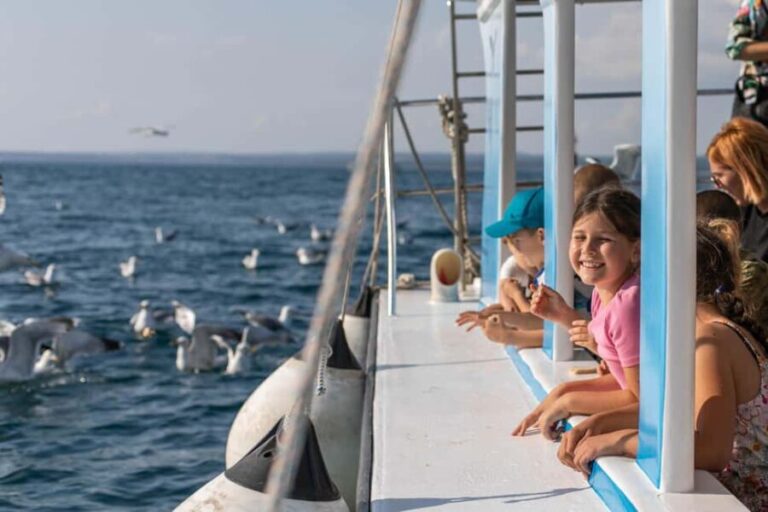 FAANA: PANORAMA NP BRIJUNI AND ISLAND SWIMMING STOP - Overview of the Tour